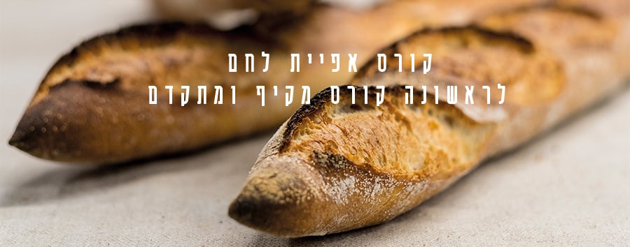 דנון קורס לחם