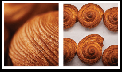 book-sample-3