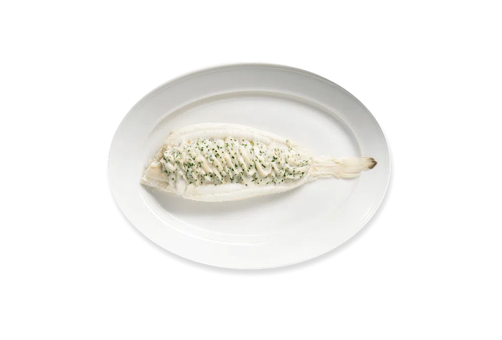 ctsci-fish-5