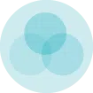 icons_milgot